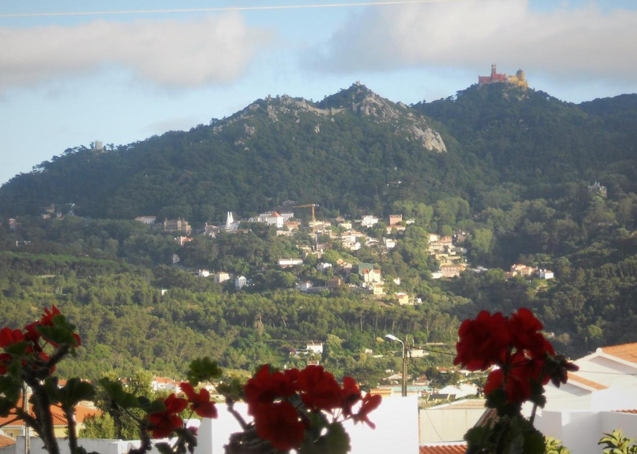 Galo Preto - Sintra Guesthouse Bagian luar foto