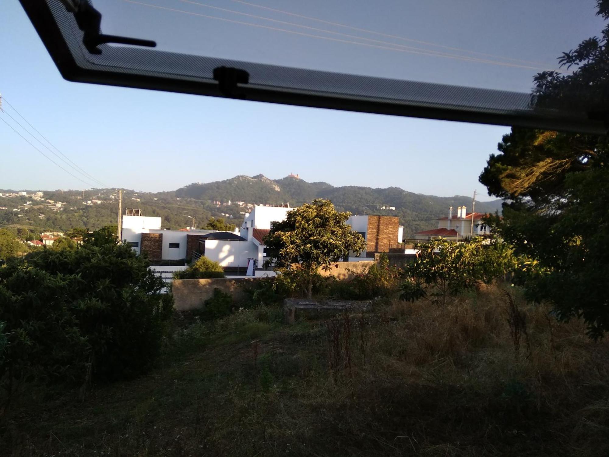 Galo Preto - Sintra Guesthouse Ruang foto