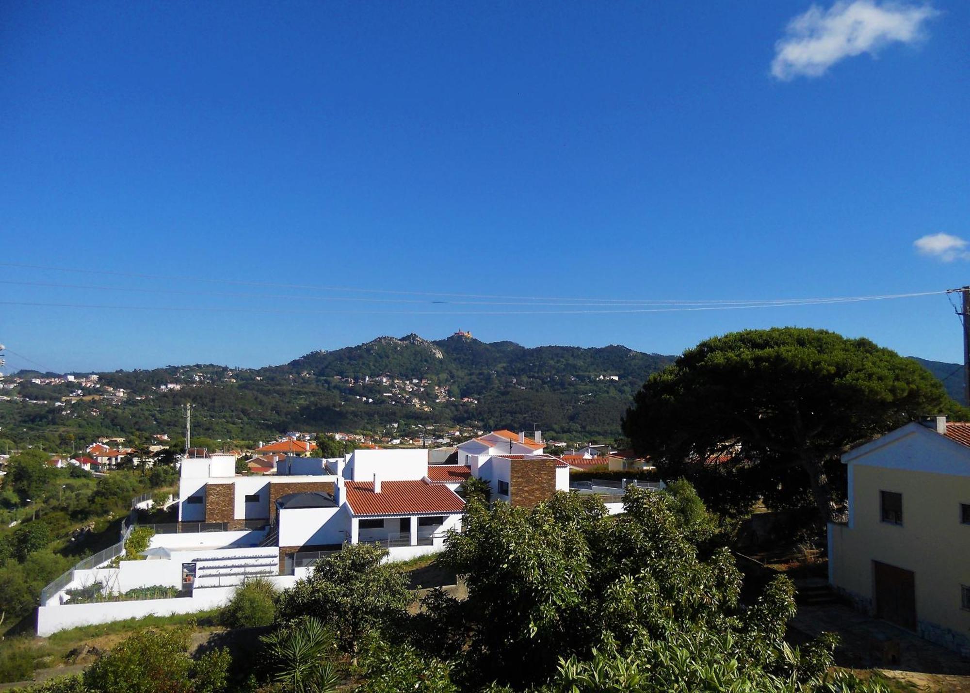 Galo Preto - Sintra Guesthouse Ruang foto